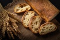 Italian traditional ciabatta bread with sliced ÃÂ¢Ã¢âÂ¬Ã¢â¬Â¹ÃÂ¢Ã¢âÂ¬Ã¢â¬Â¹pieces and ears of wheat on a jute napkin on a table Royalty Free Stock Photo